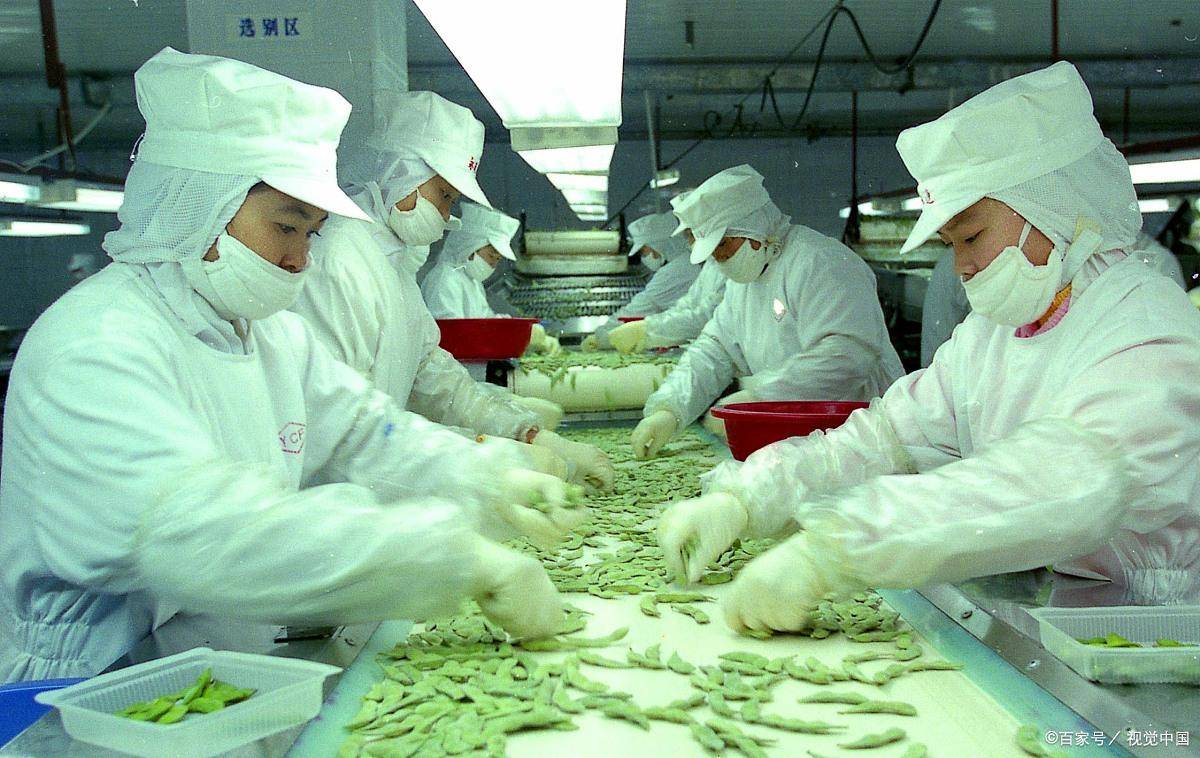 2024第21届中国国际食品加工与包装设备（青岛）展览会乐鱼官方网站在线登录(图2)